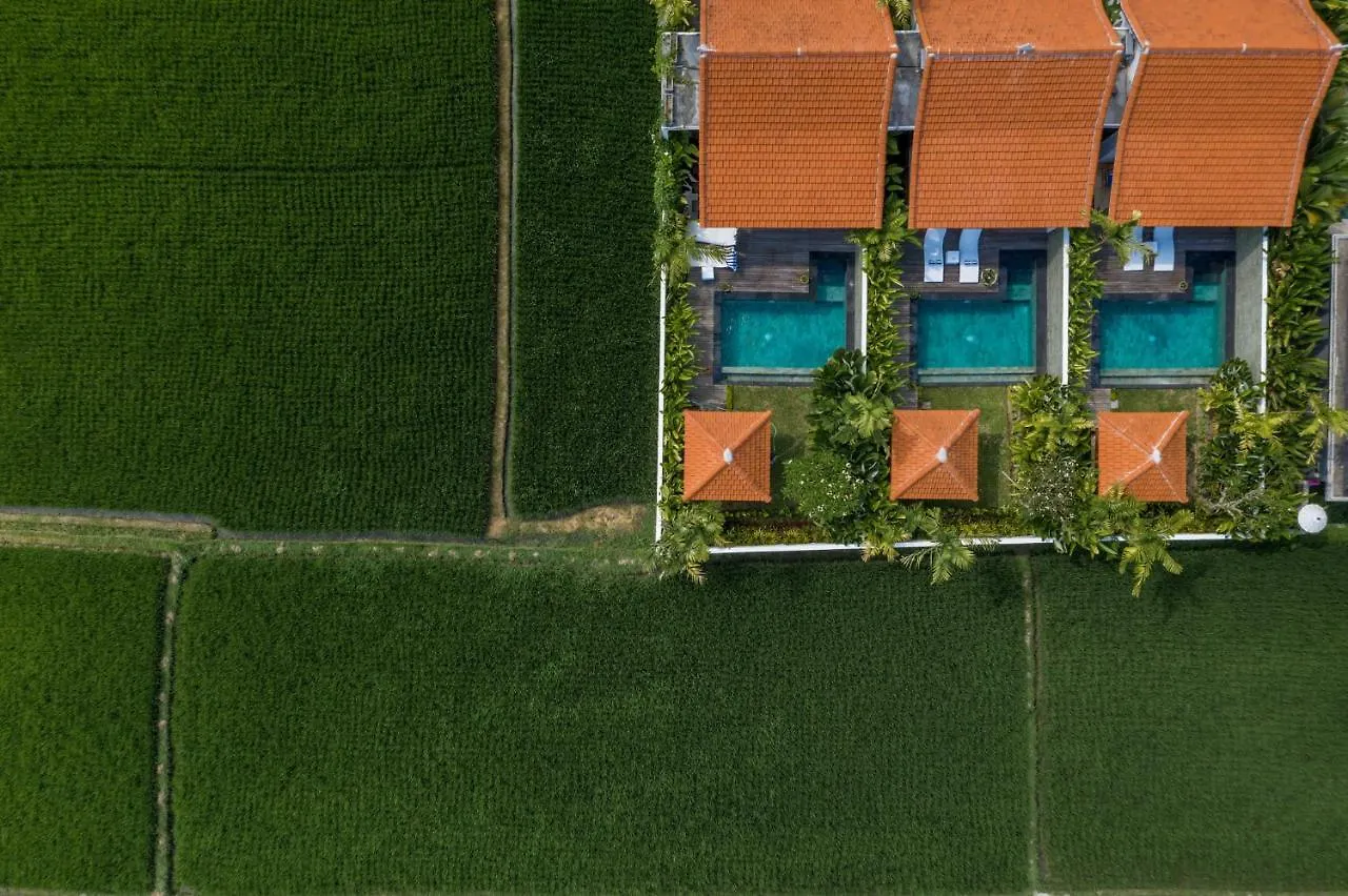 Sawah Villas Ubud